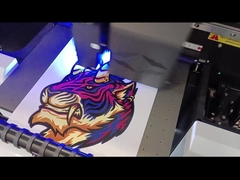 Wyświetlacz filmu rolkowego